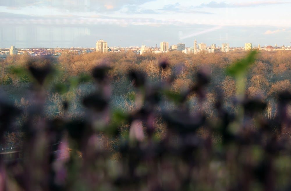 25Hours Hotel Bikini Berlin 7