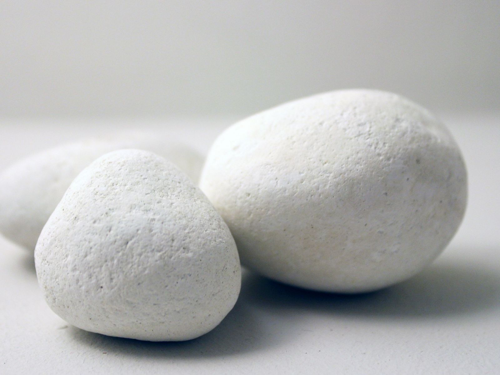 Anke Von Popowski Studio 8