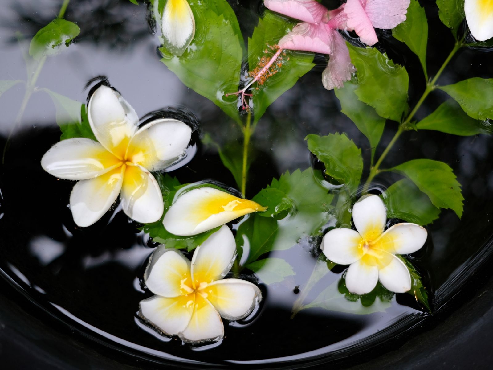 Constance Belle Mare Plage Mauritius 37