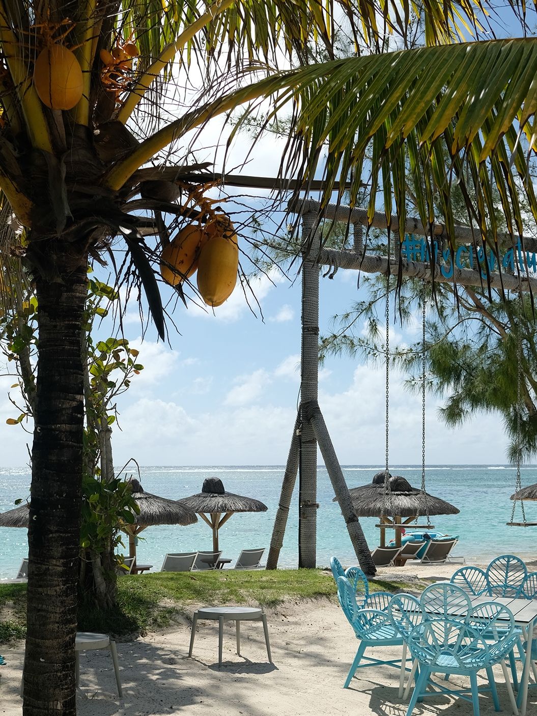 C Mauritius Palmar 18