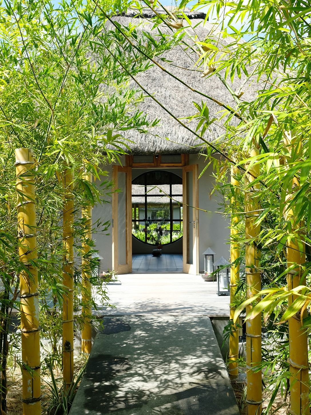 C Mauritius Palmar 51