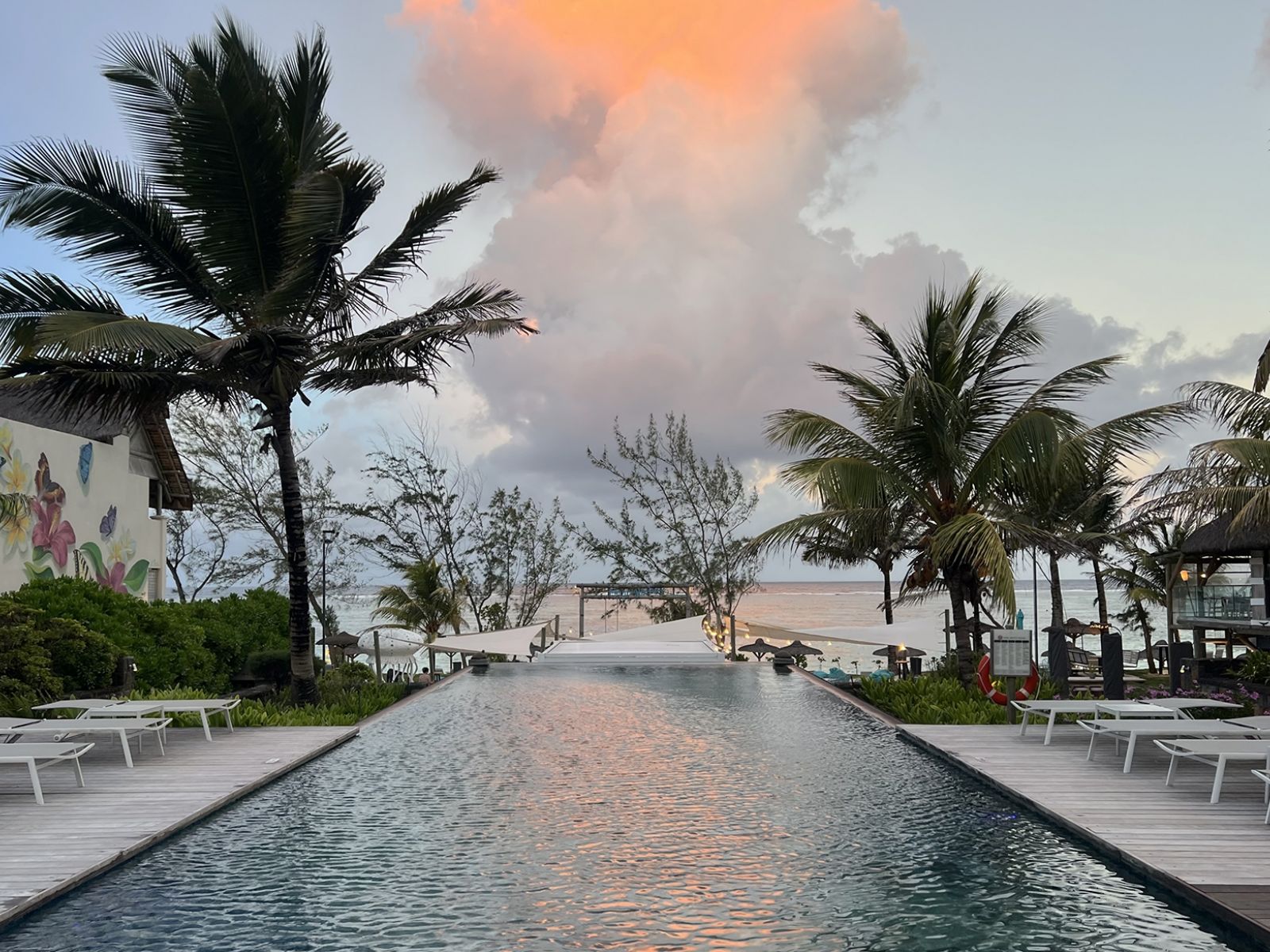 C Mauritius Palmar 120