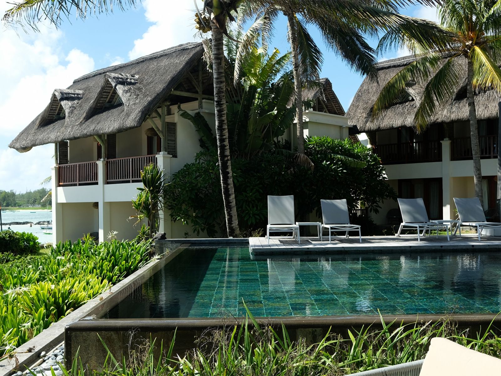 C Mauritius Palmar 24