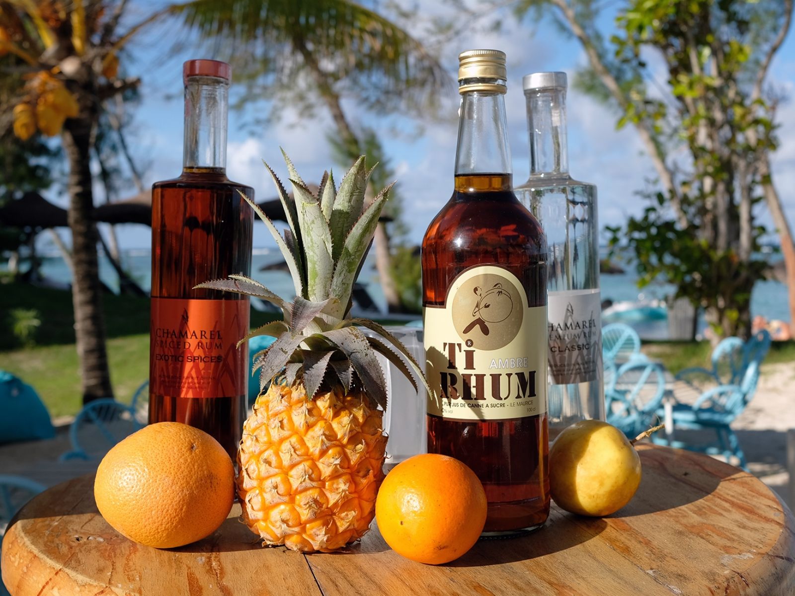 C Mauritius Palmar 42