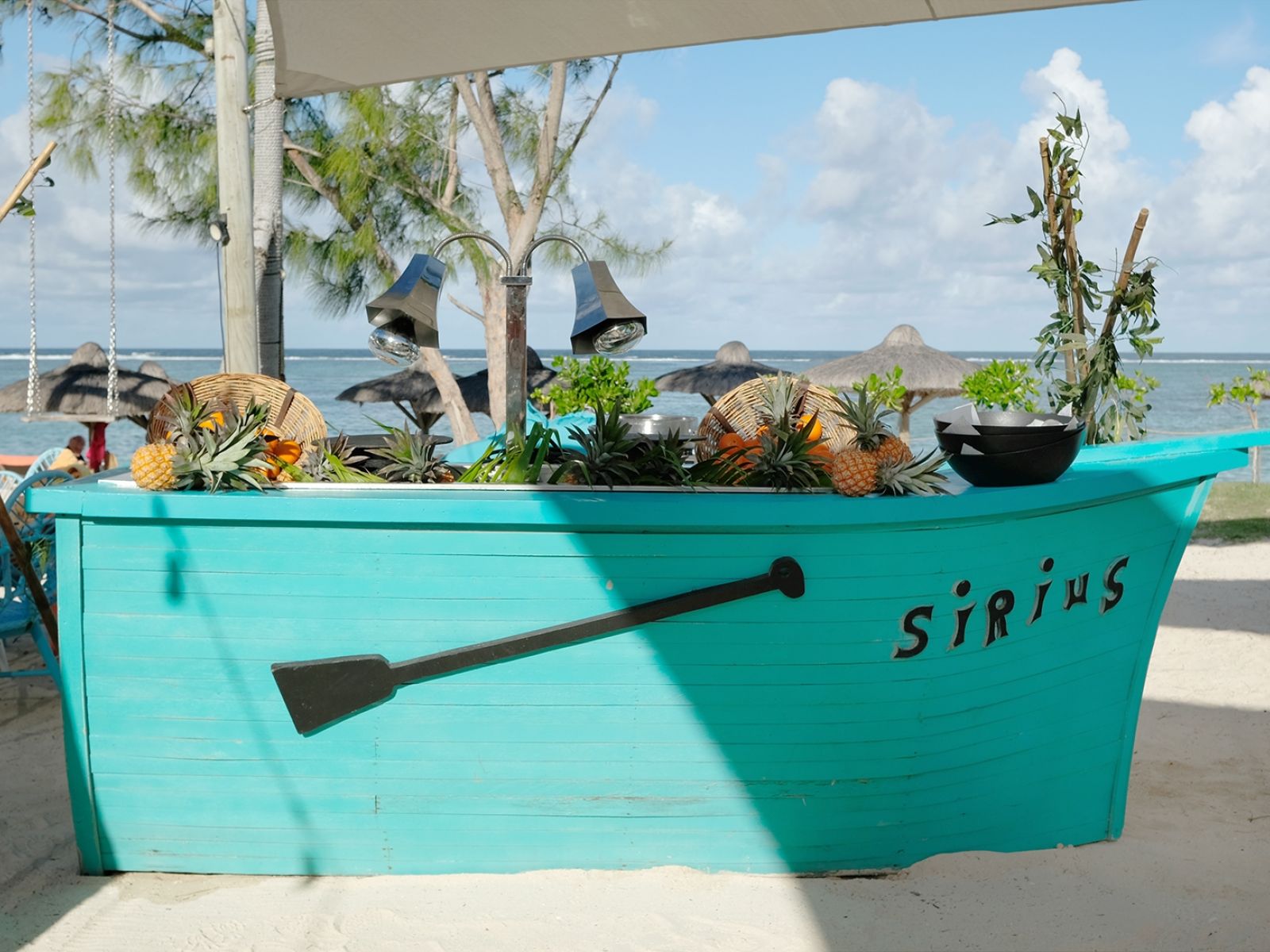 C Mauritius Palmar 45A