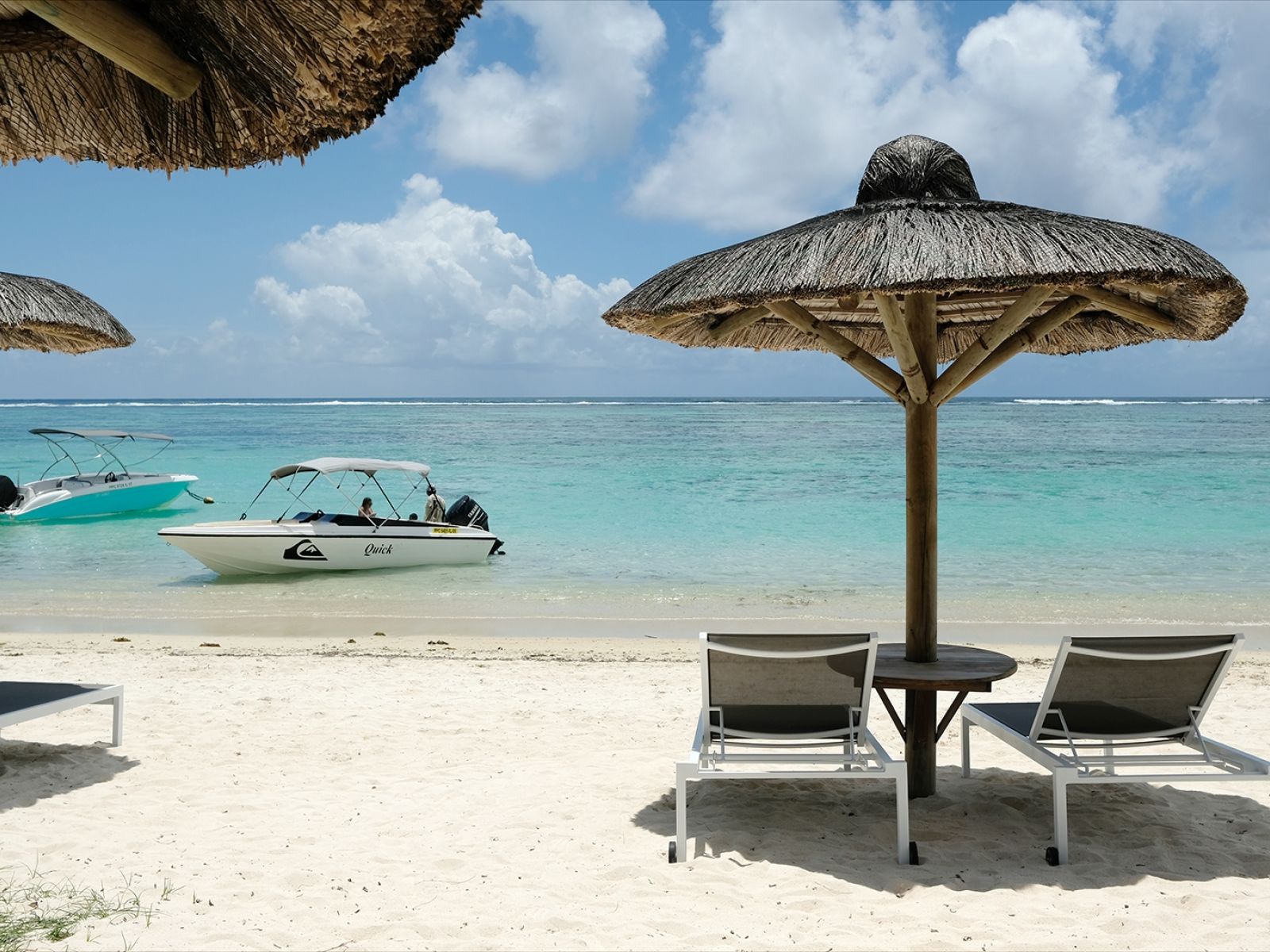 C Mauritius Palmar 60