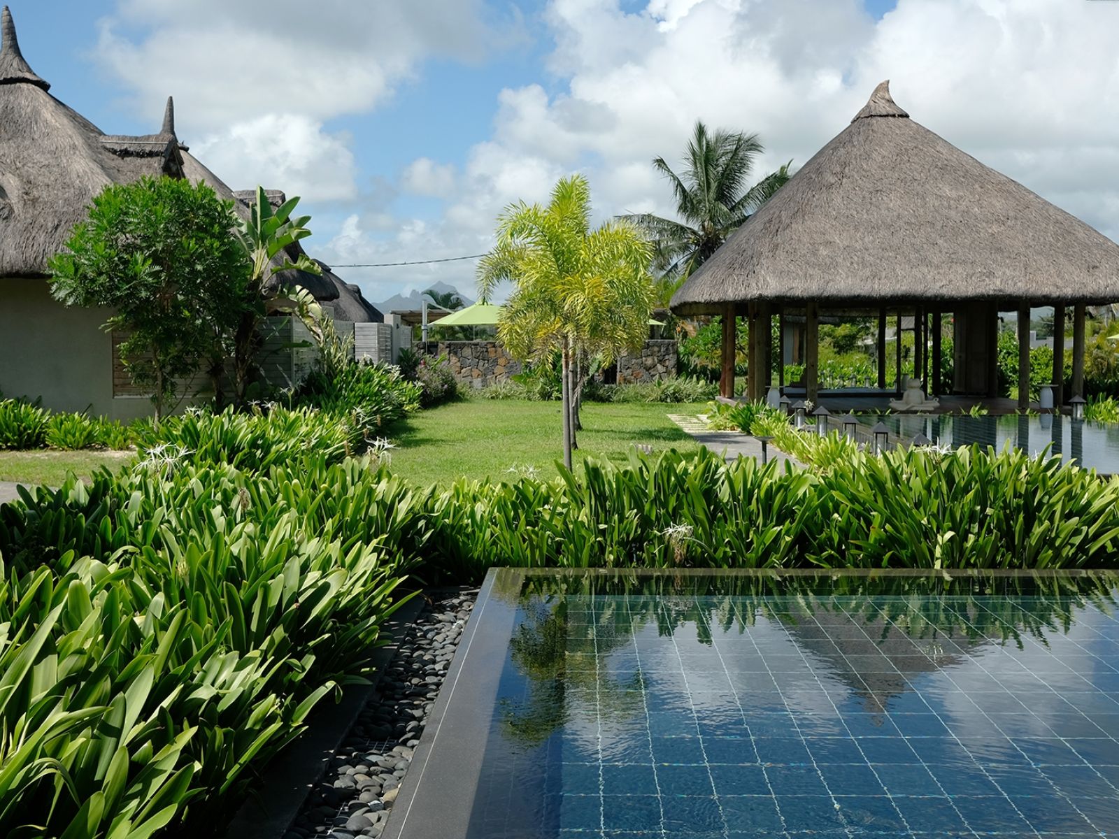 C Mauritius Palmar 71