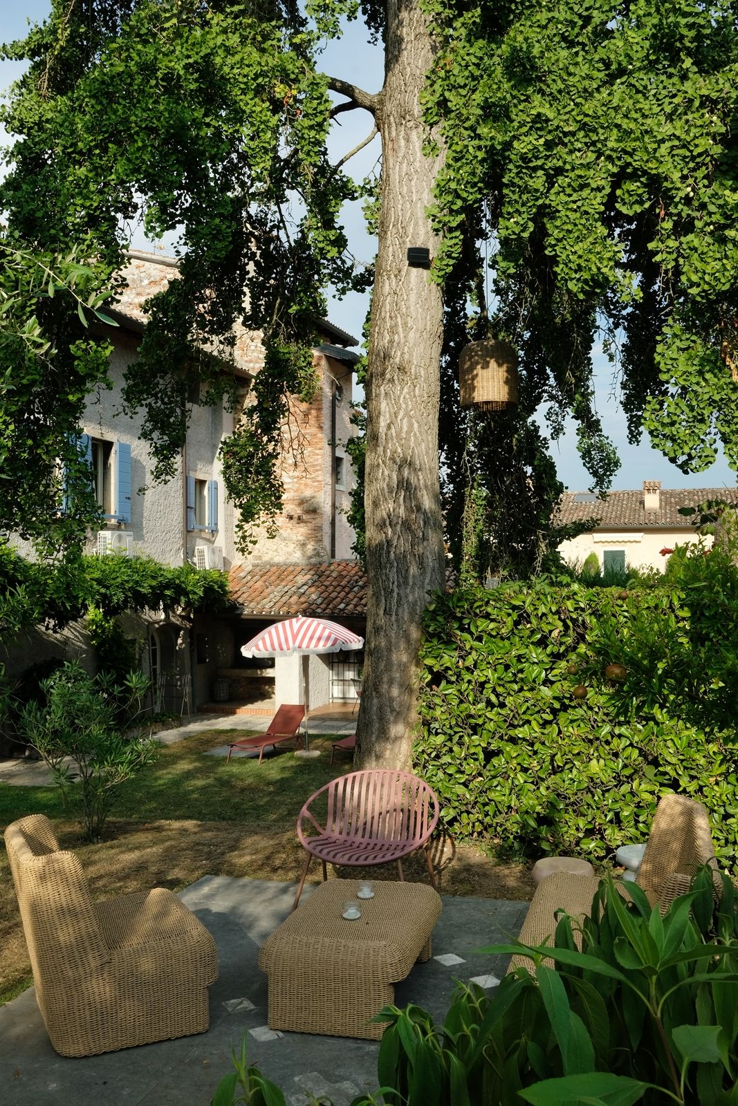 Abendstimmung unter dem Gingkobaum