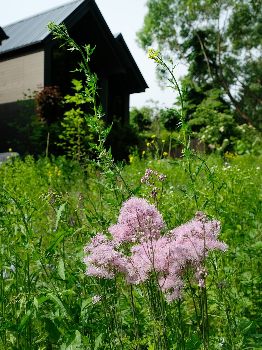 Greenview Tornow 3