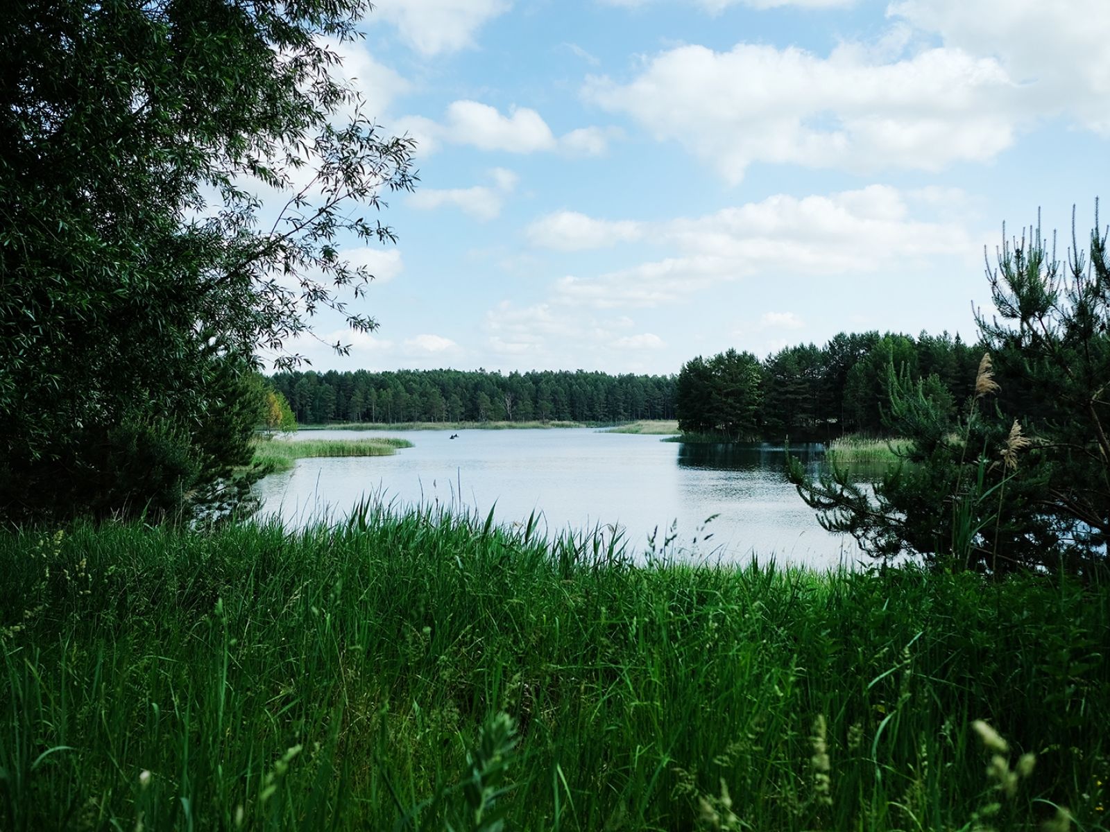 Greenview Tornow 32