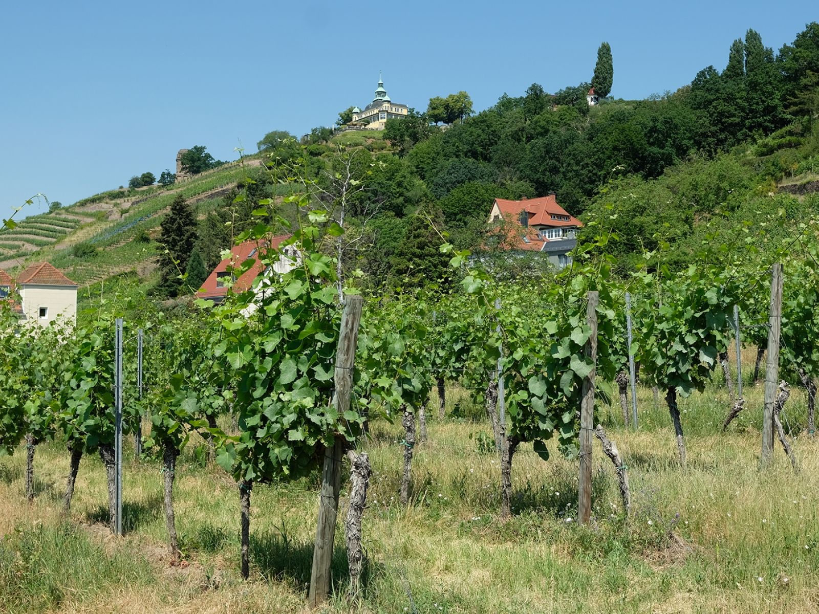Weingut Drei Herren