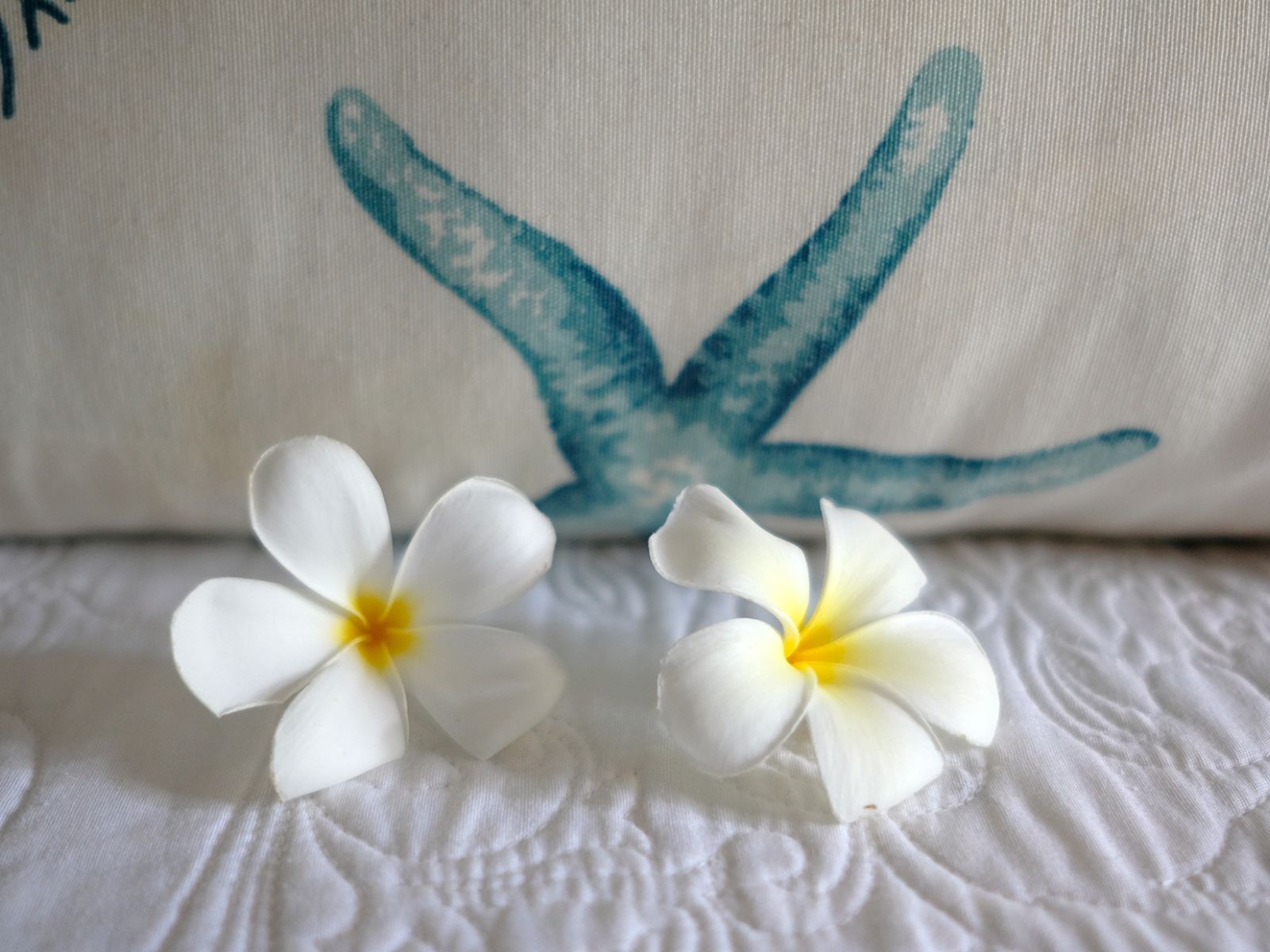 Villa Harmonie Ilot Fortier Mauritius 114