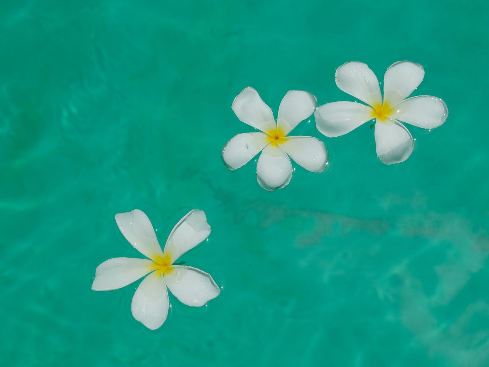 Villa Harmonie Ilot Fortier Mauritius 37