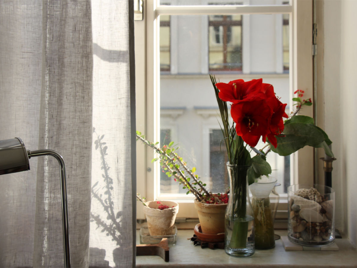 A Leipzig Home 17