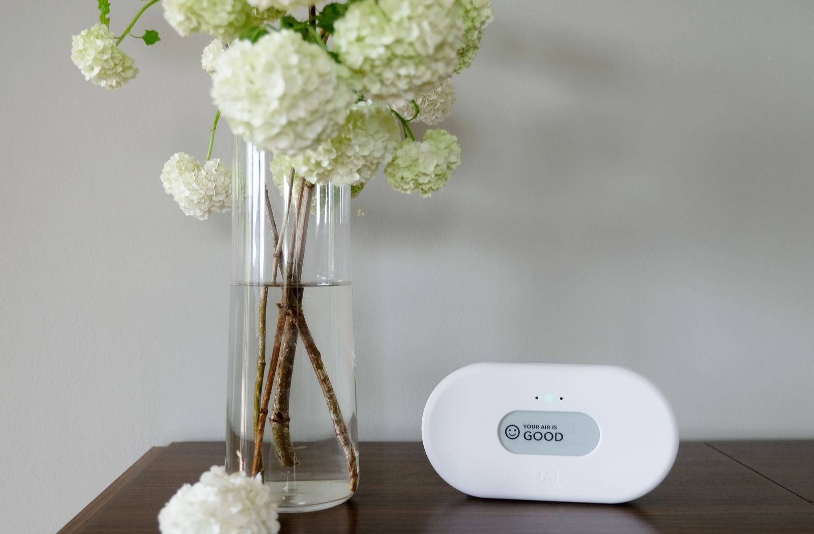 Your Air Is Good – Airthings View Plus im minimalistischen Design