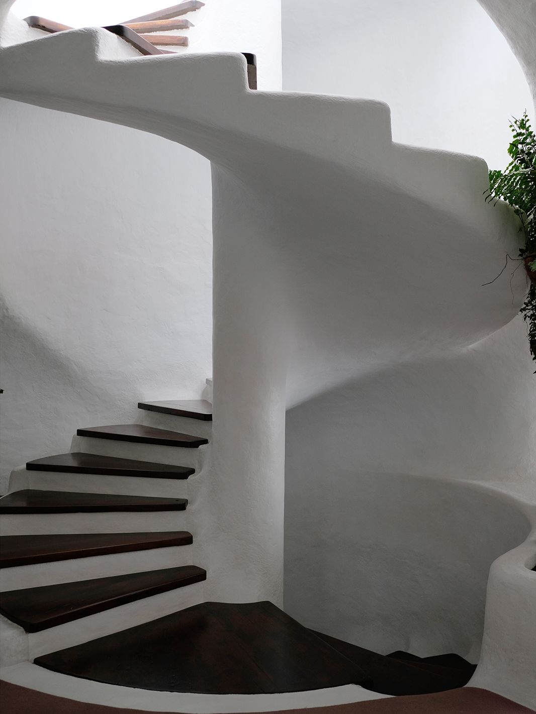 Cesar Manrique Lanzarote Cact 25