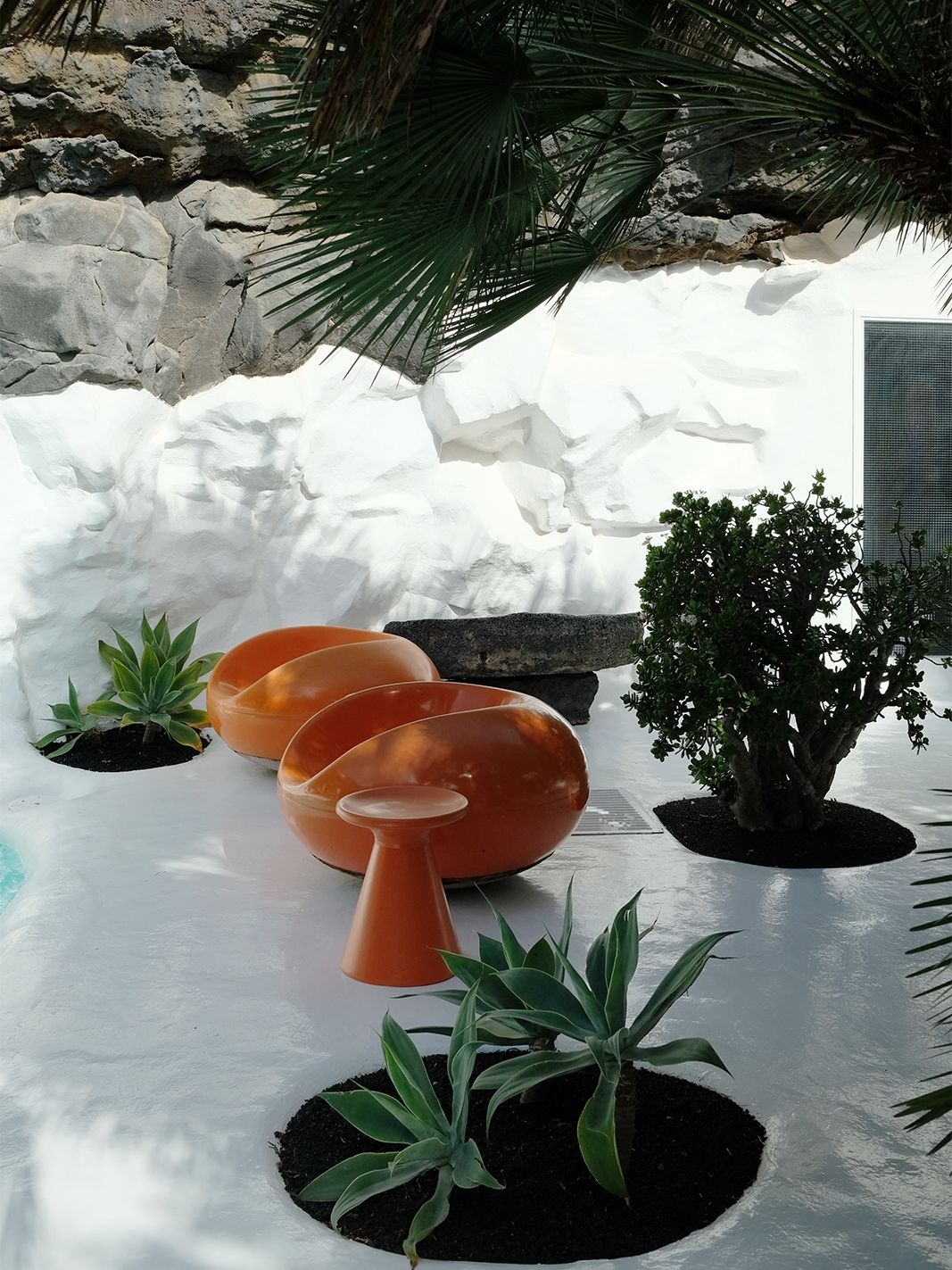 Cesar Manrique Lanzarote Cact 67