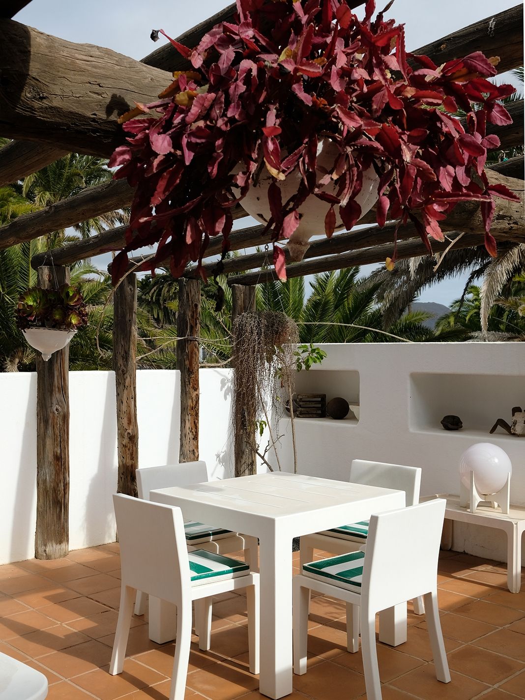 Cesar Manrique Lanzarote Cact 3