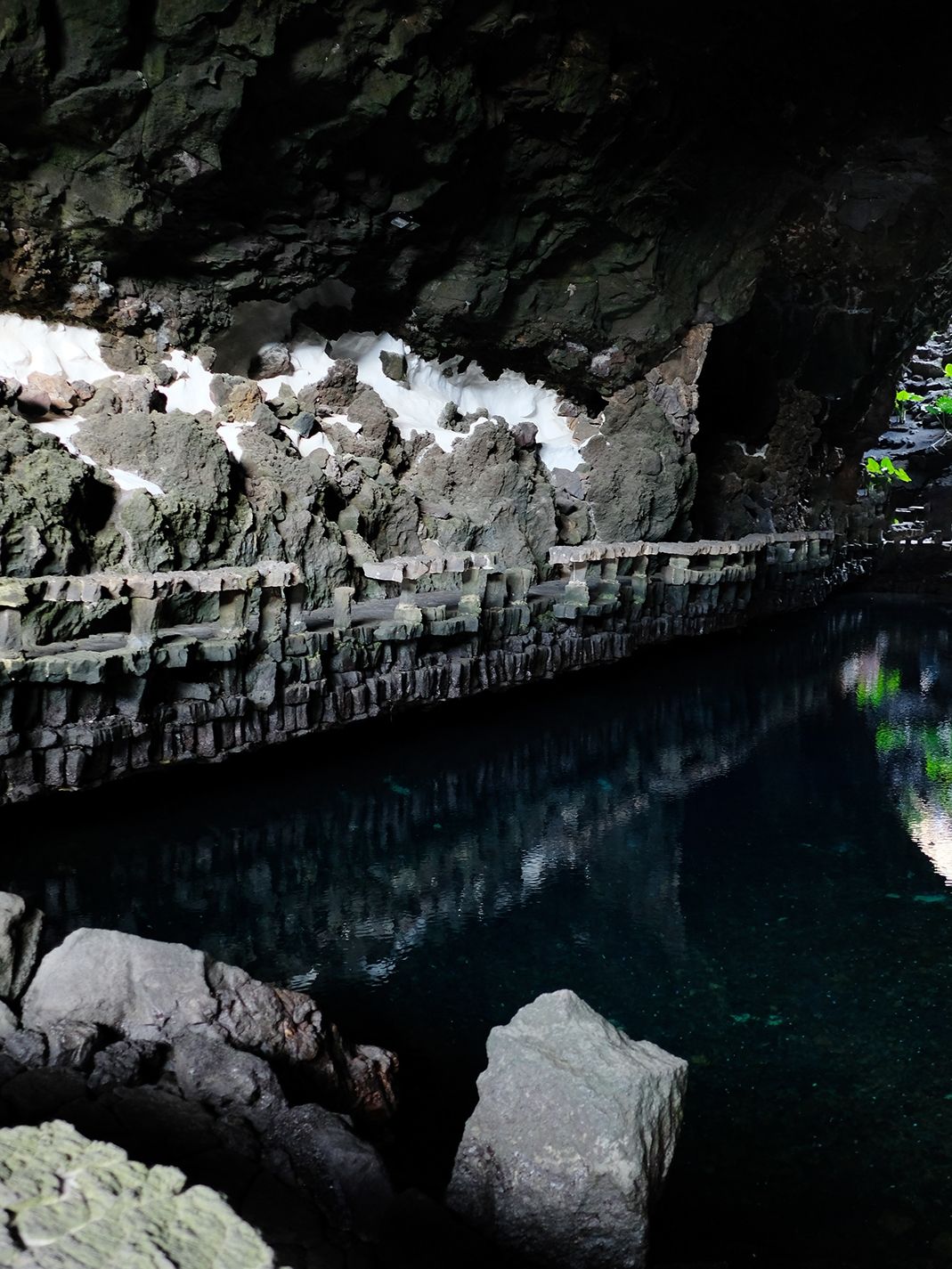 Cesar Manrique Lanzarote Cact 40