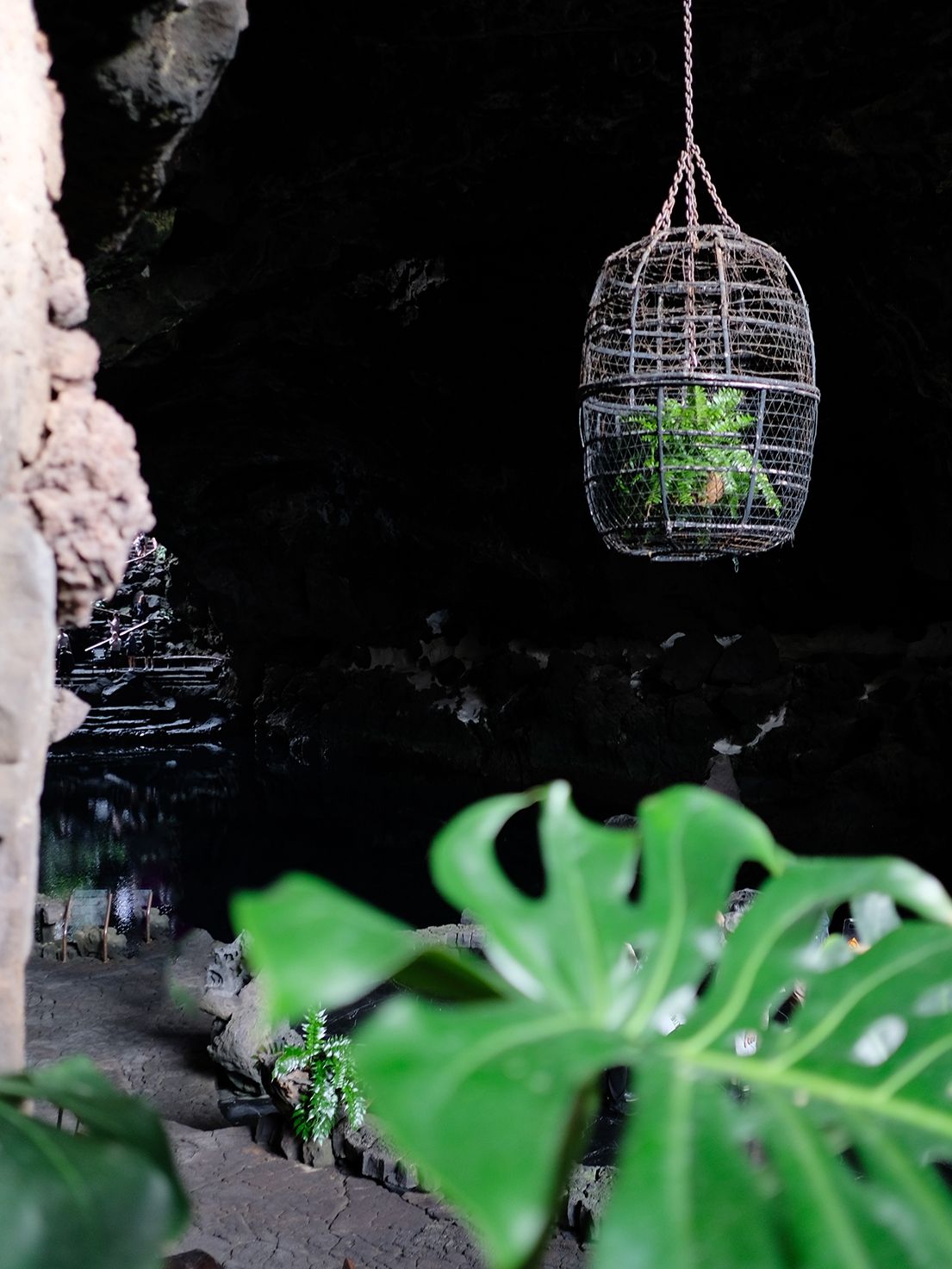 Cesar Manrique Lanzarote Cact 36