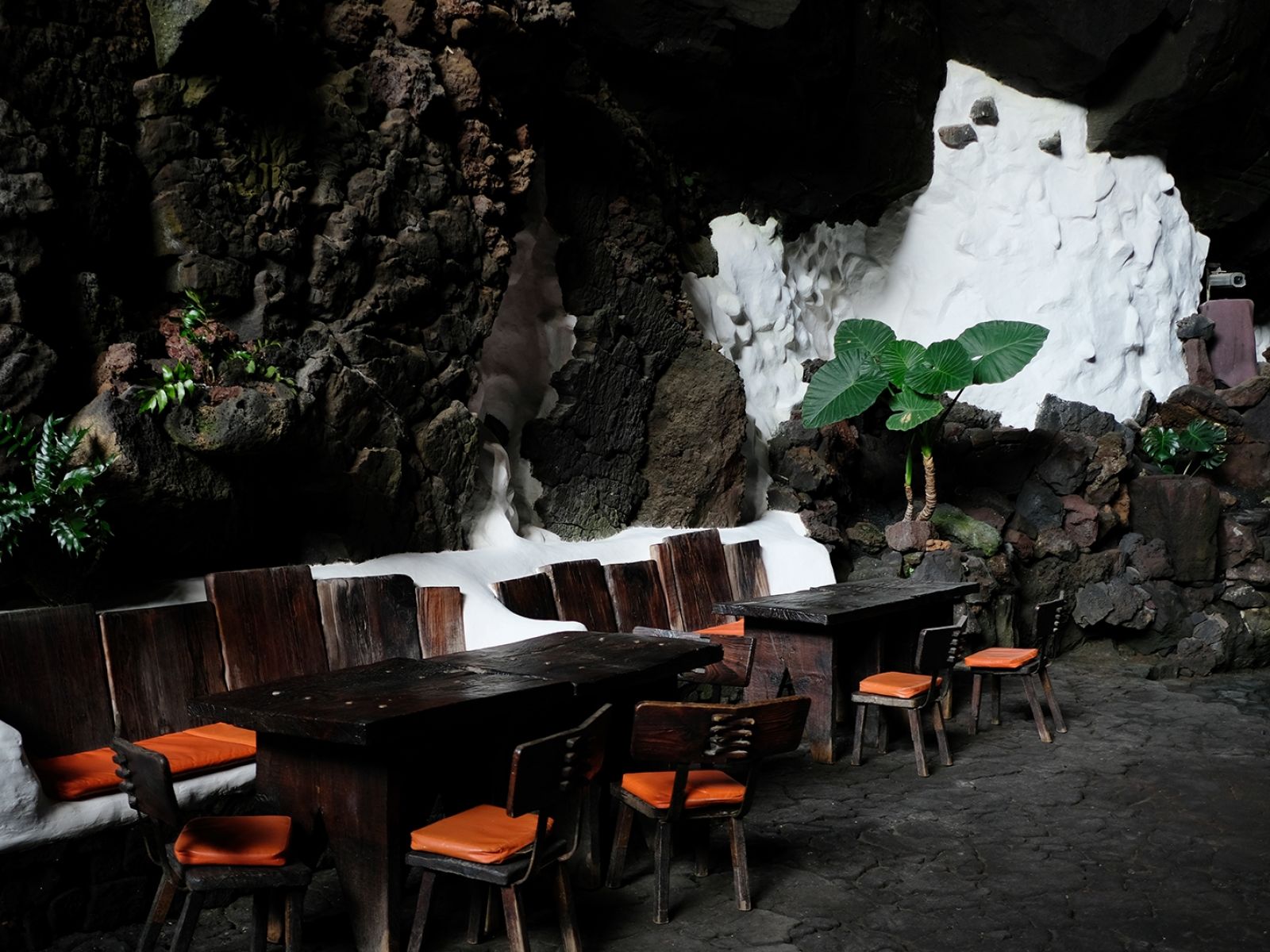 Cesar Manrique Lanzarote Cact 37