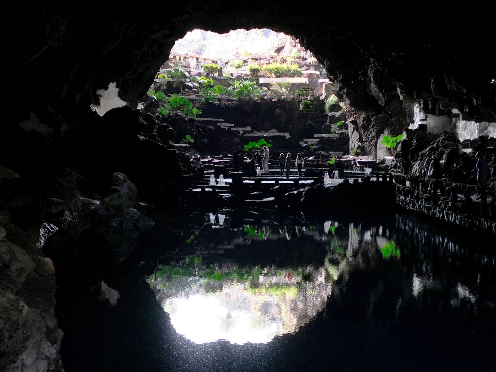 Architektur, Design und Pflanzenwelt unter der Erde