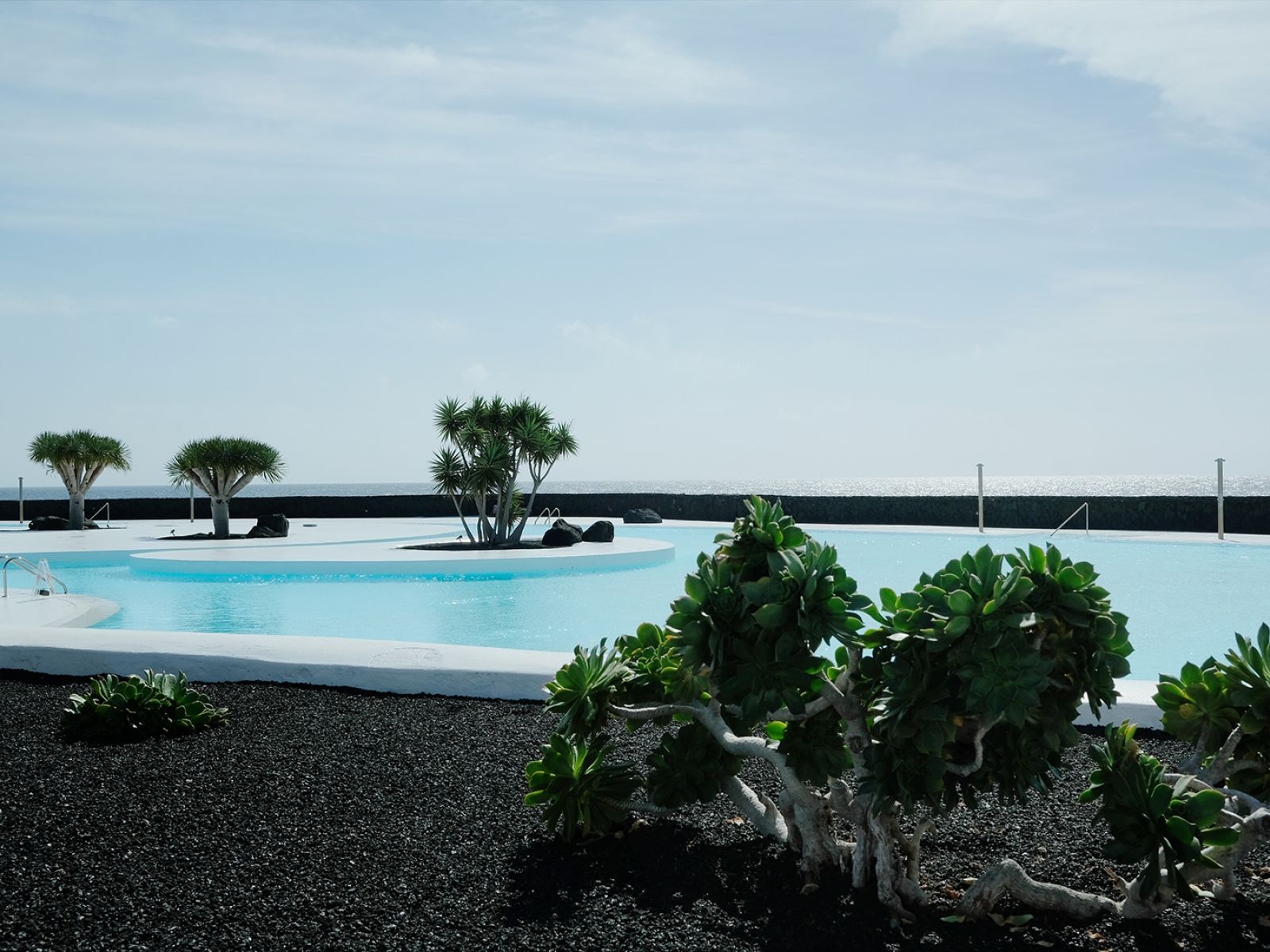 Cesar Manrique Lanzarote Cact 47