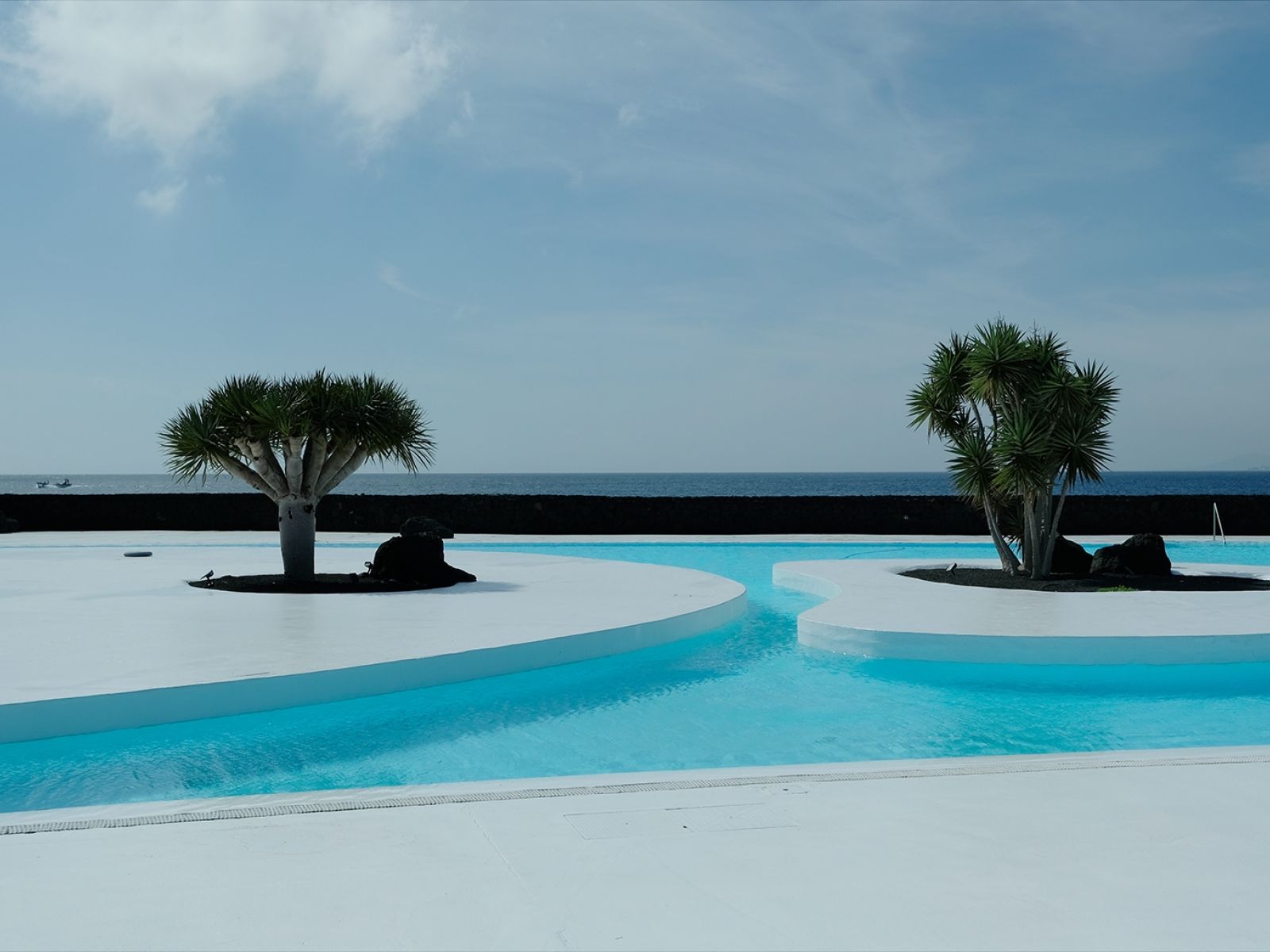 Cesar Manrique Lanzarote Cact 52