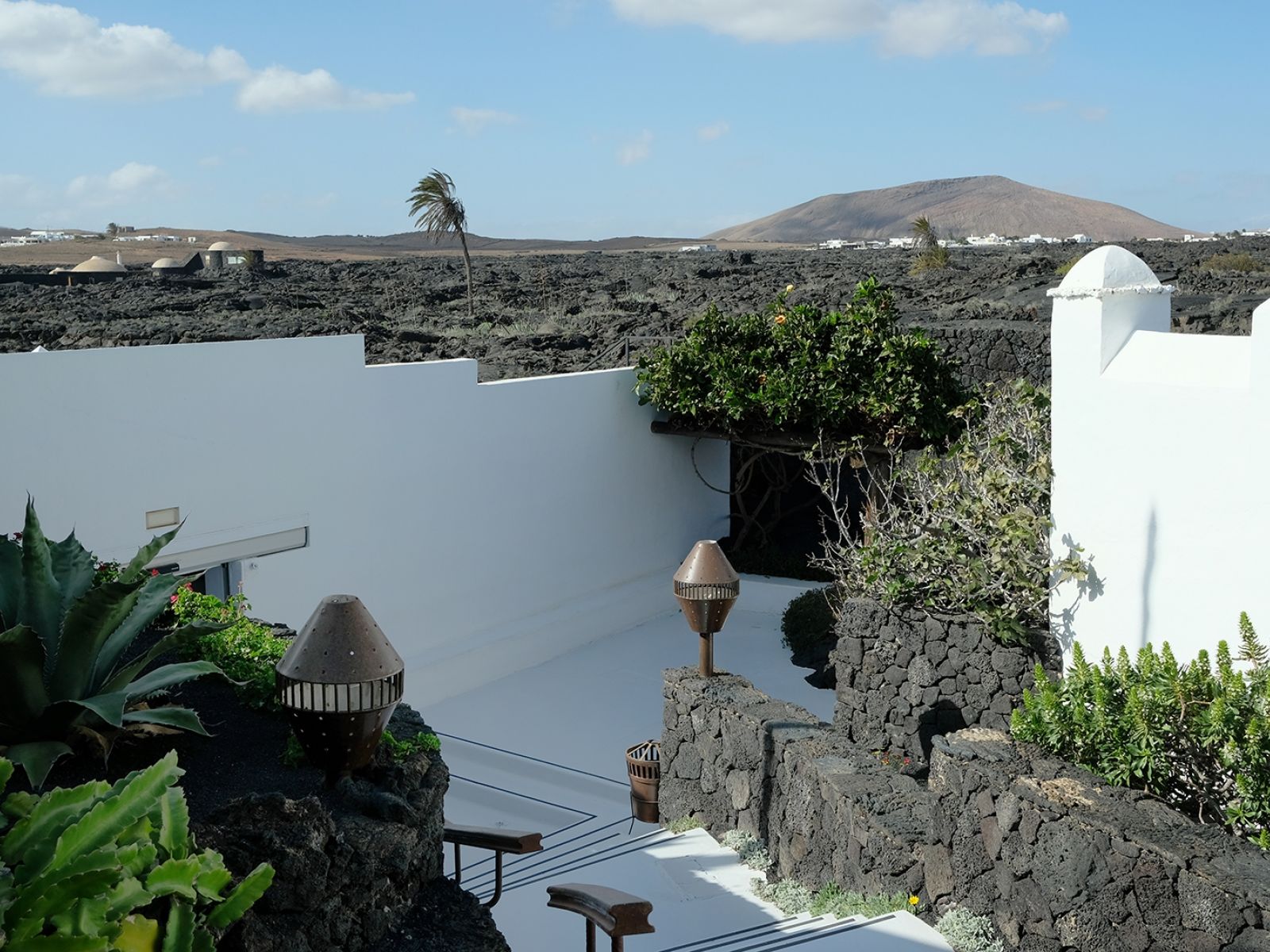 Cesar Manrique Lanzarote Cact 54