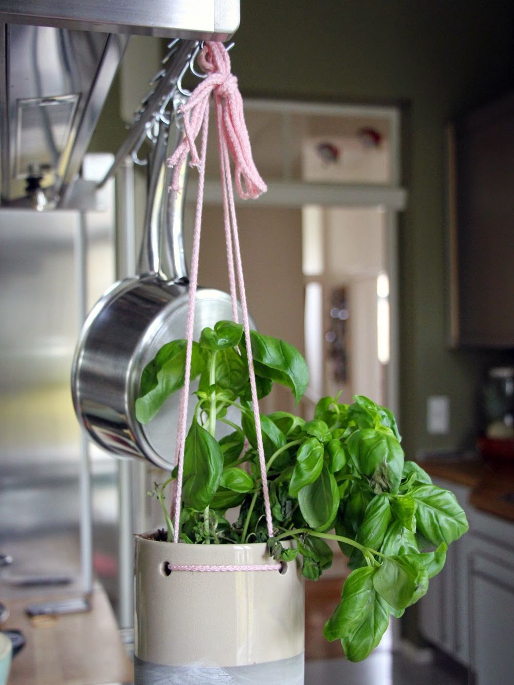 Hängender Basilikum Plant Hanger By K Amsterdam 4