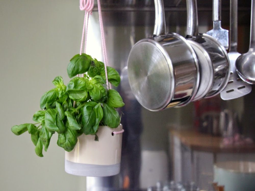 Hängender Basilikum Plant Hanger By K Amsterdam 5