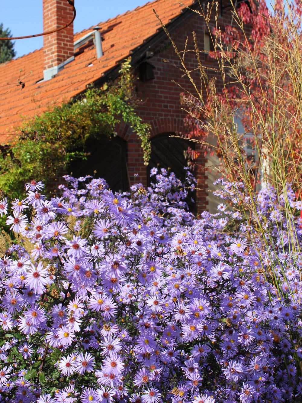 Herbstleuchten In Der Königlichen Gartenakademie 16