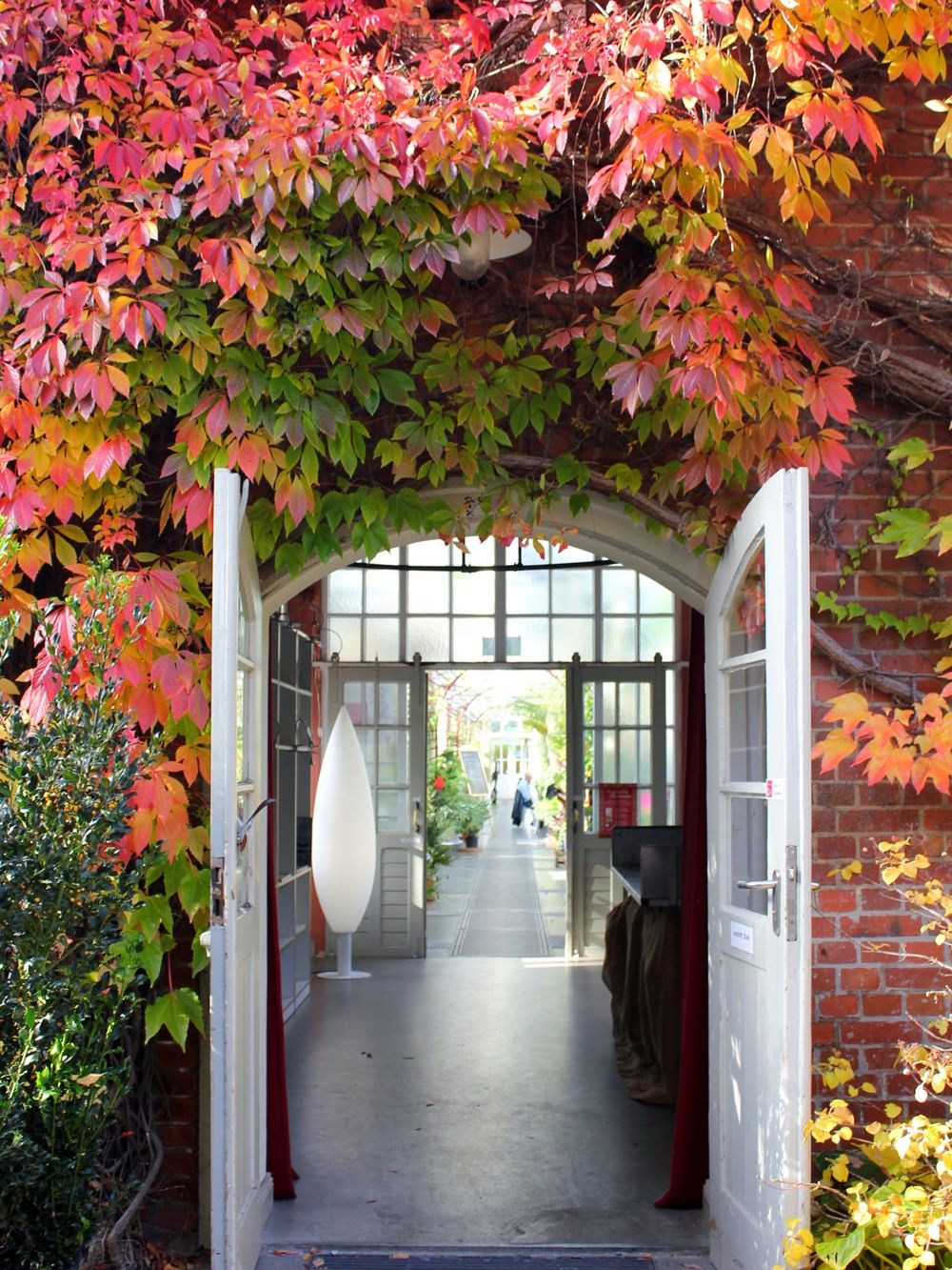 Herbstleuchten In Der Königlichen Gartenakademie 20