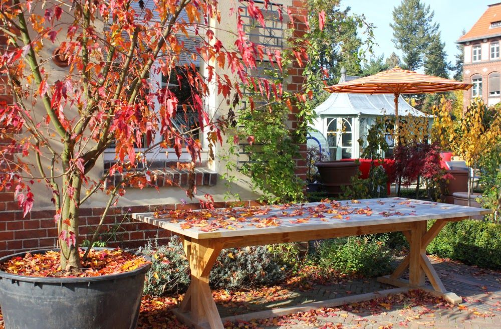 Herbstleuchten In Der Königlichen Gartenakademie 14