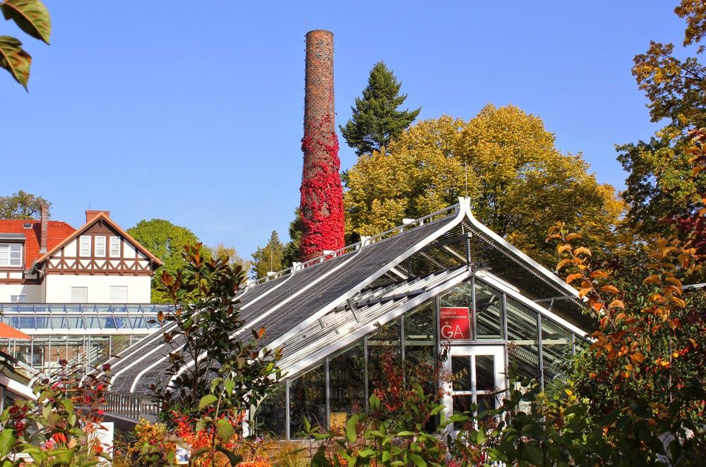 Herbstleuchten In Der Königlichen Gartenakademie 17