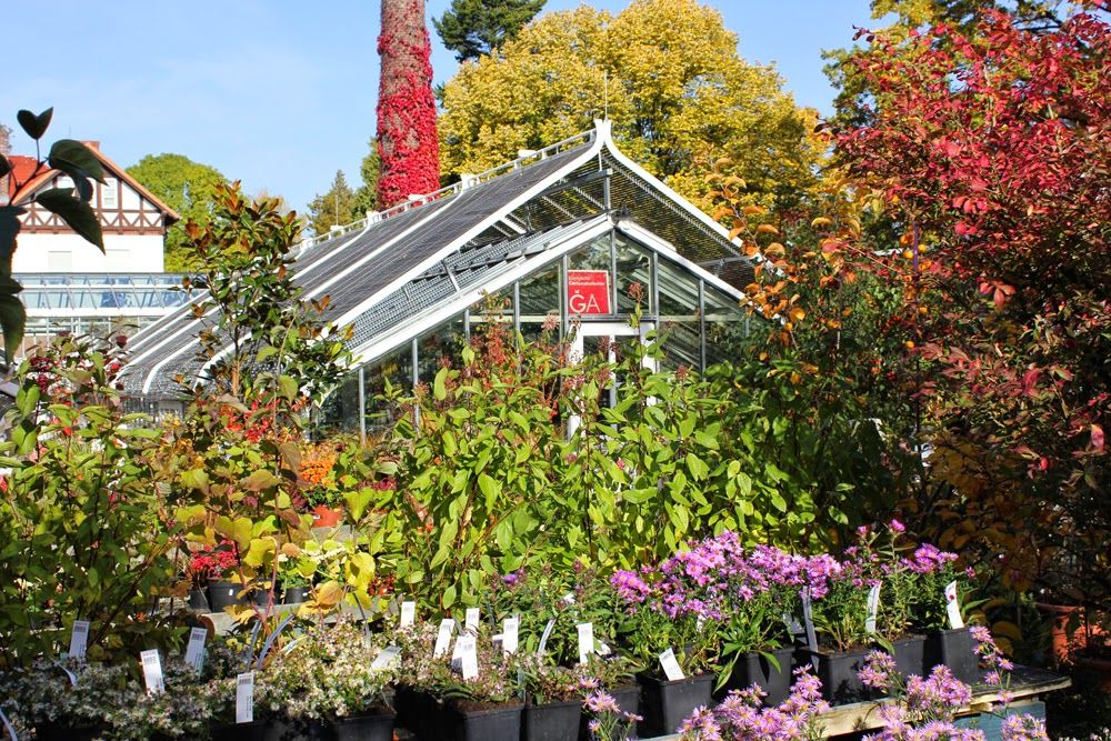Herbstleuchten In Der Königlichen Gartenakademie 13