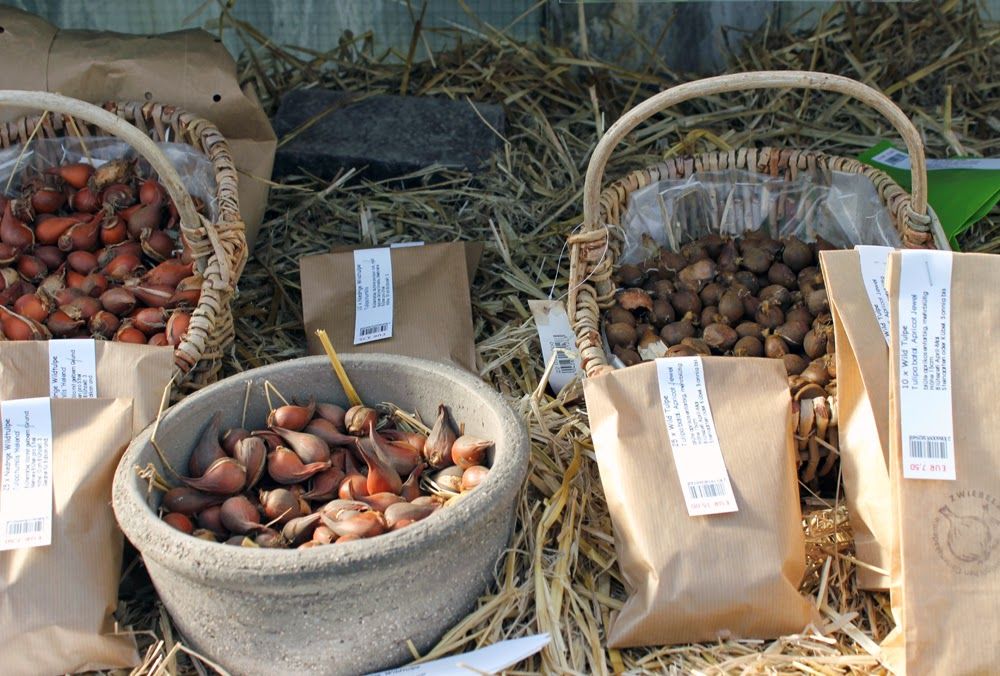 Herbstleuchten In Der Königlichen Gartenakademie 9