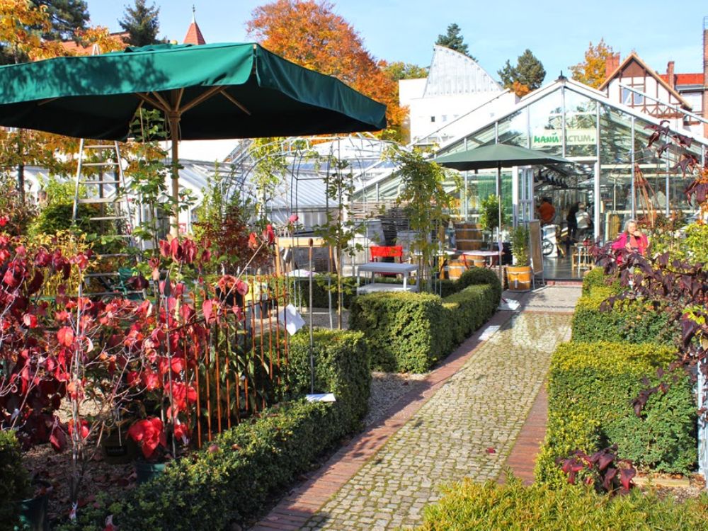 Herbstleuchten In Der Königlichen Gartenakademie 11