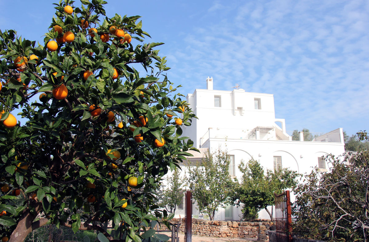Herbstreise Nach Apulien Masseria Alchimia 1