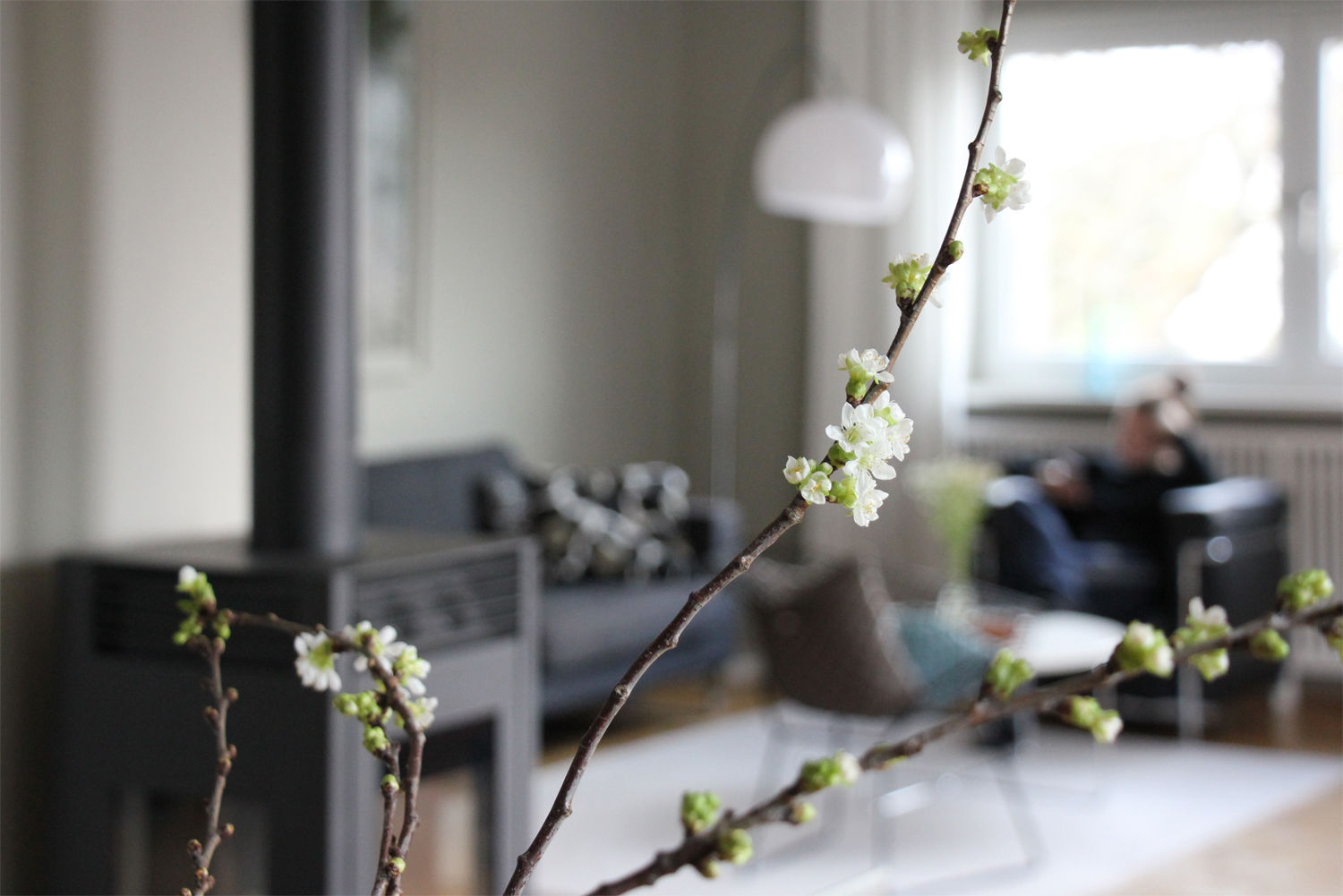 Interior Projekt A Sixties Home 1
