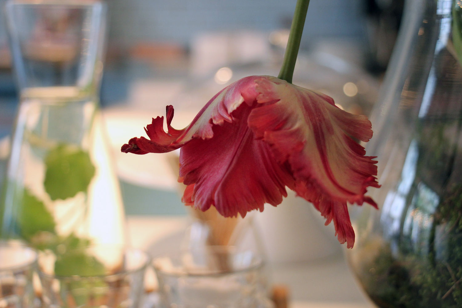 Jubel Feine Patisserie 4