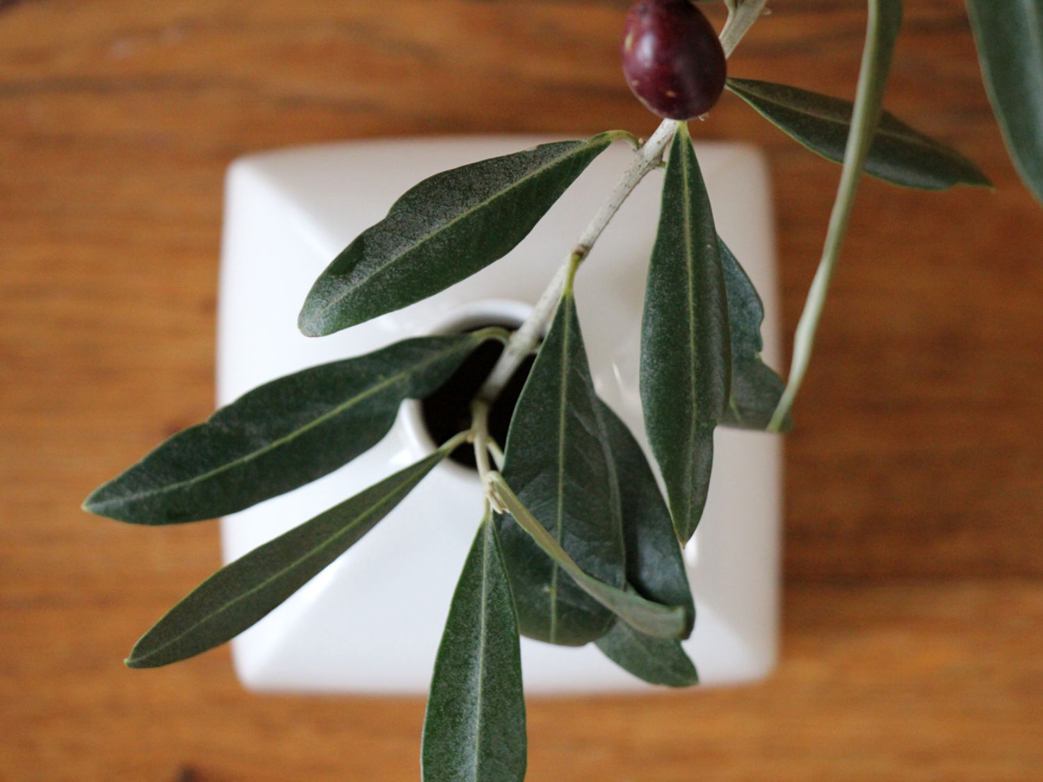 Kpm Vintage Fundstück 3