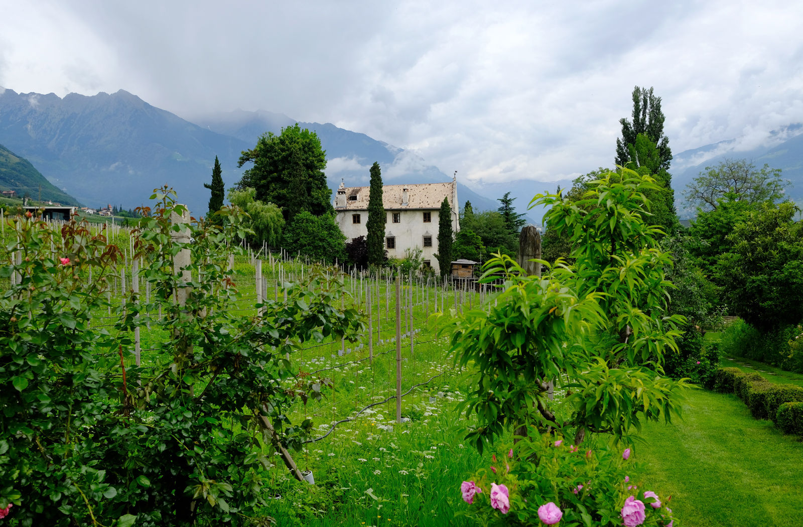 Der Kränzelhof in Tscherms