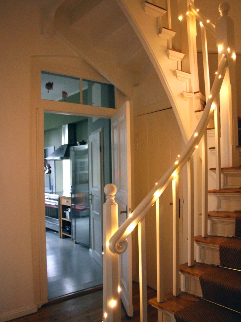 Kupferdraht Und 100 Lichter 3