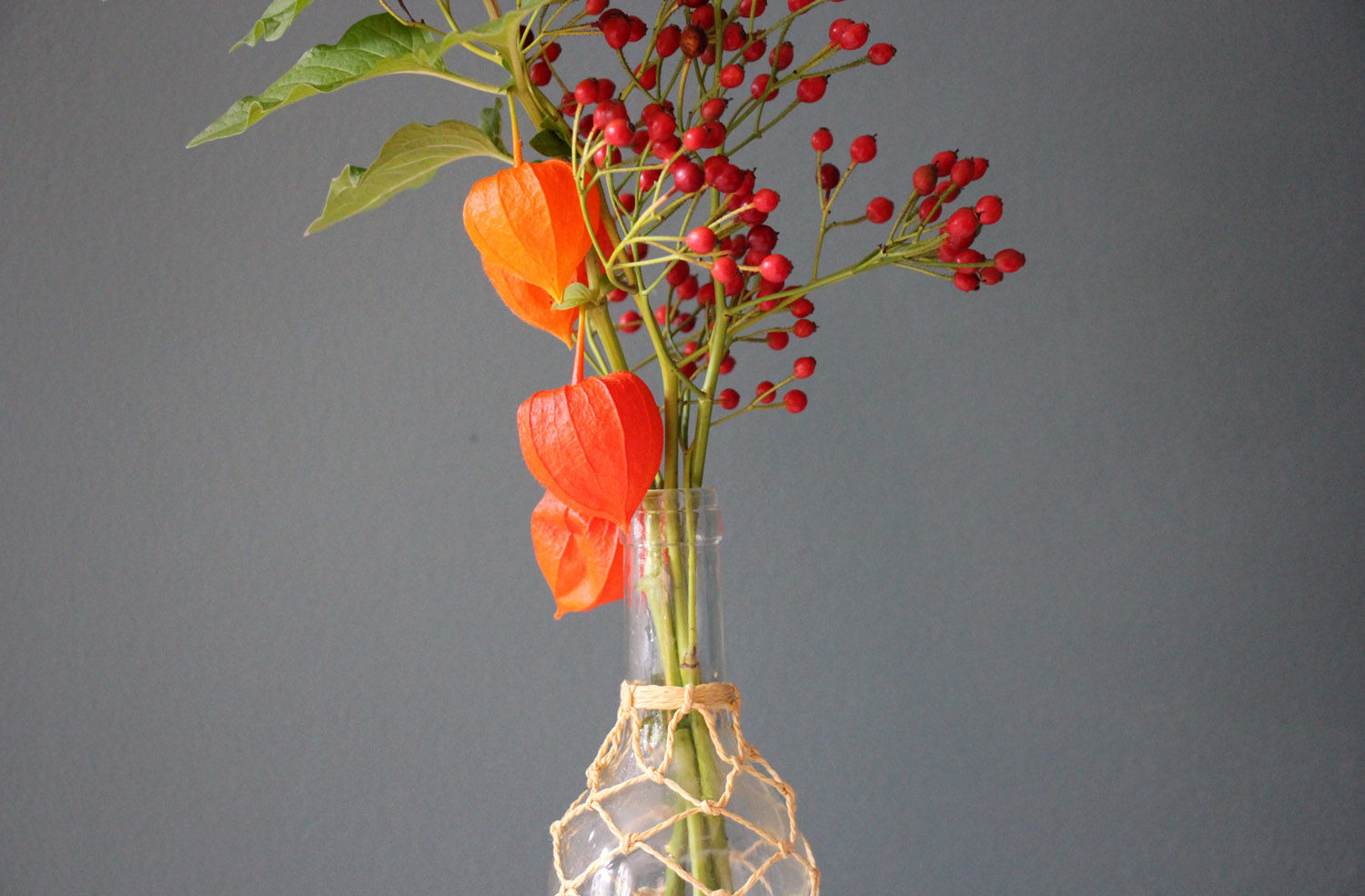 Lampionblumen Makramee 4