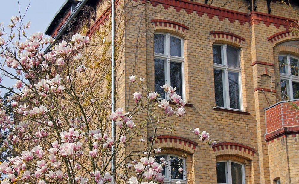 Magnolien Vorstadtvillen 11