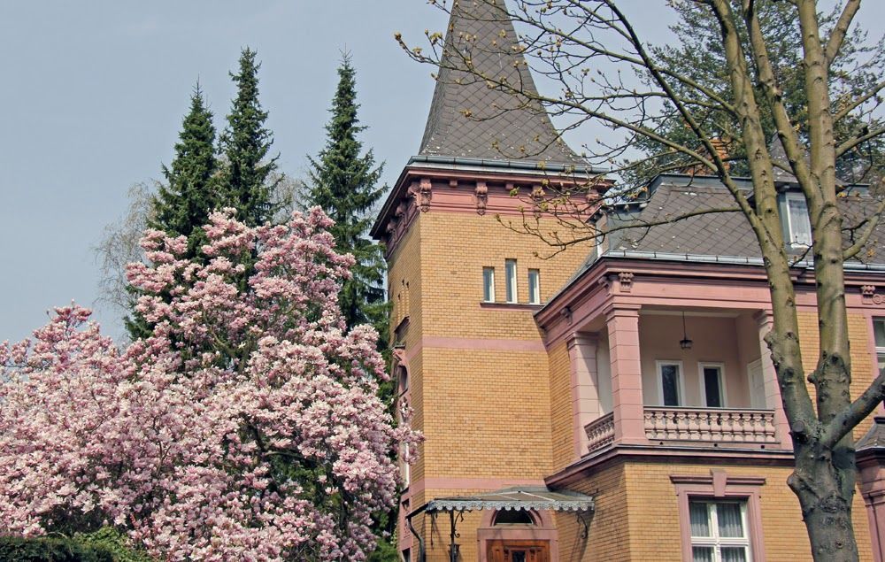 Magnolien Vorstadtvillen 2