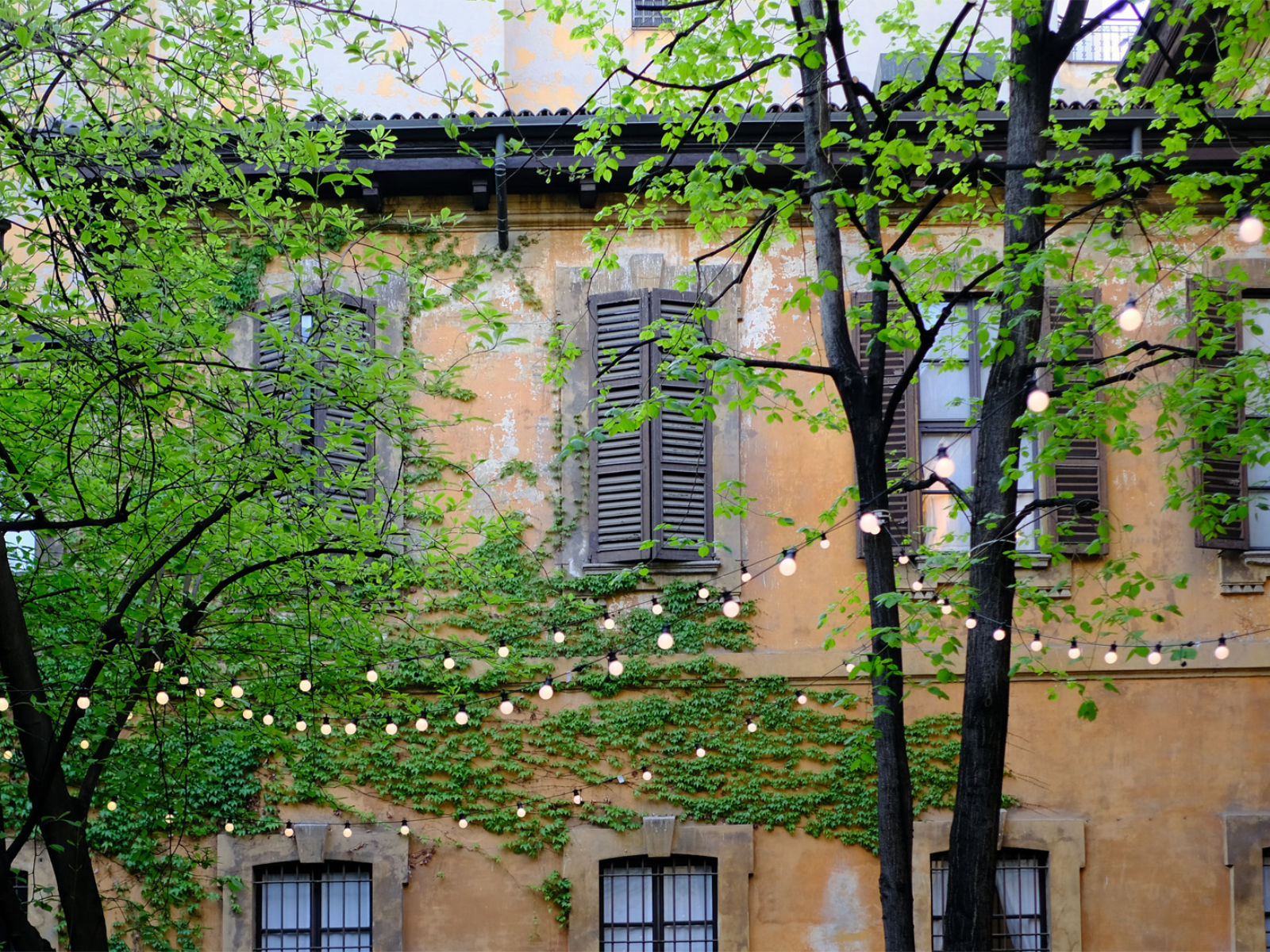 Hay At Palazzo Clerici 11