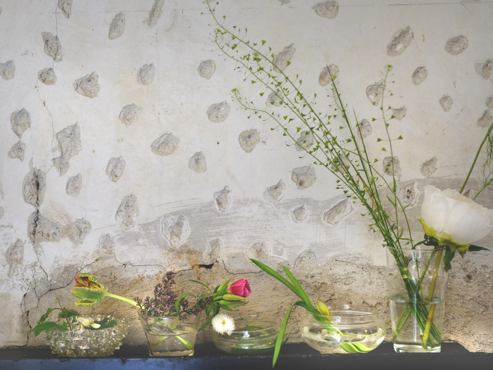 Rossana Orlandi Milano 2018 1