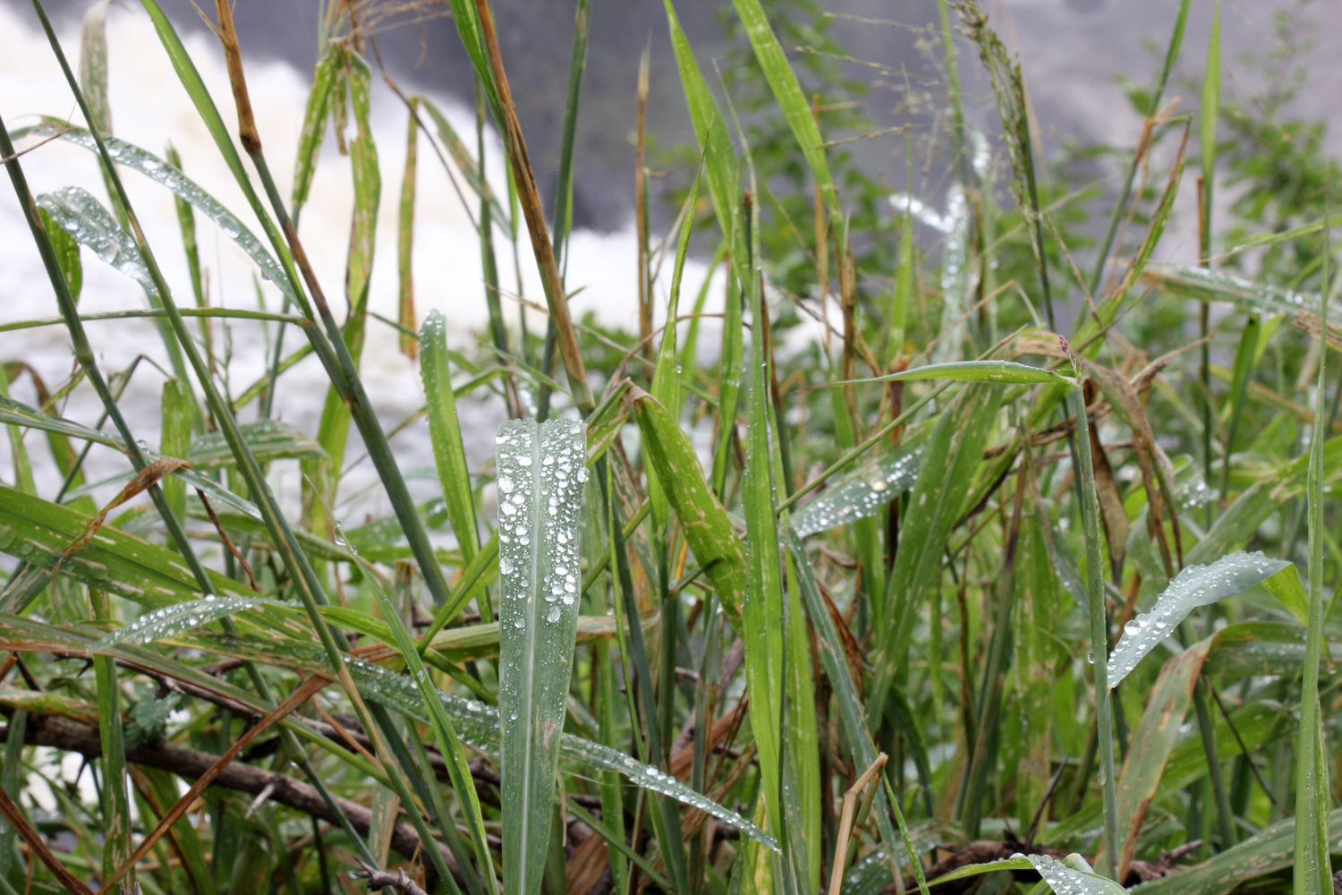 Muster Farben Formen Simbabwes Naturdesign 14